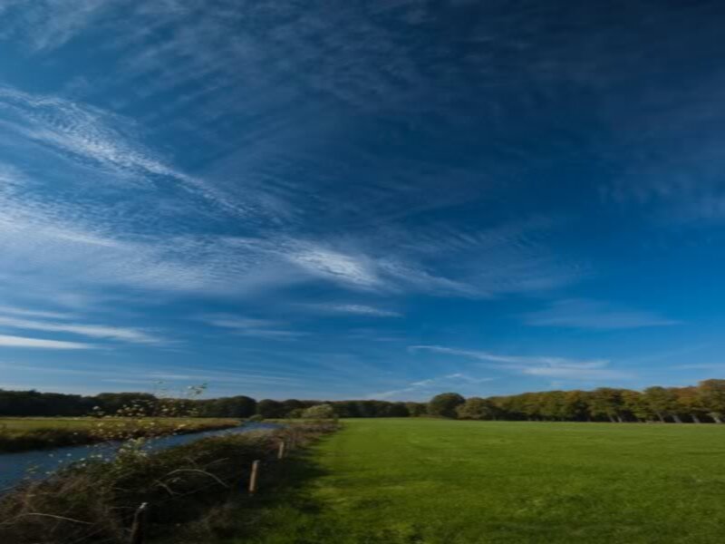 Green Field with River — Blue