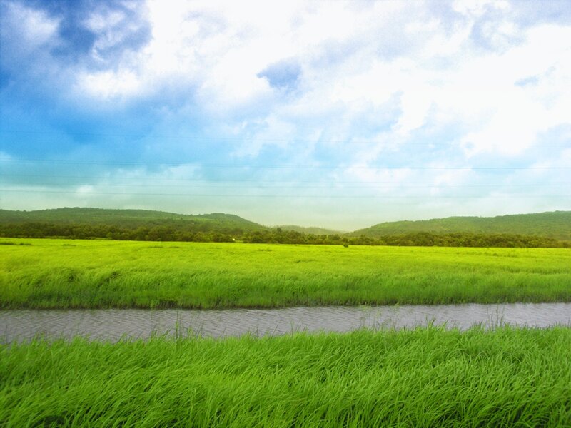 Green Field with River — Serene