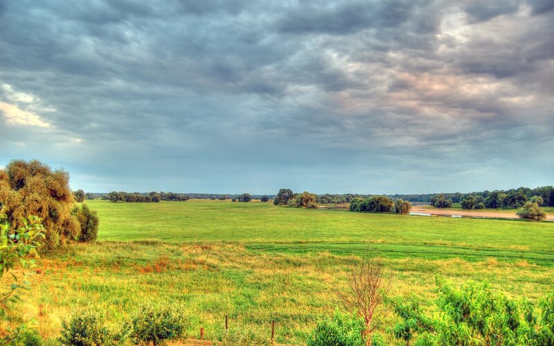 Green Field with River
