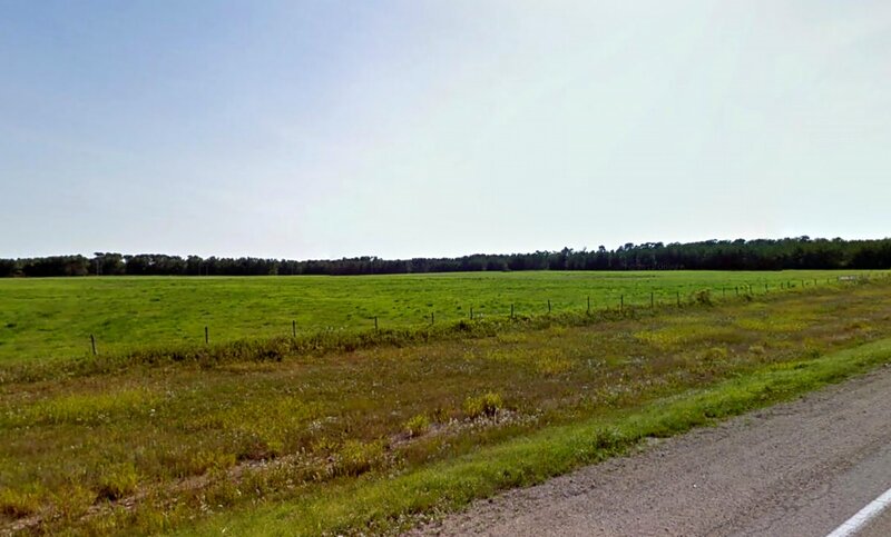 Green Field with Road