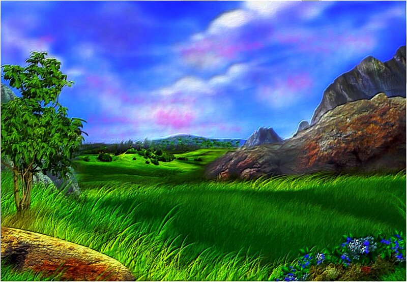 Green Field with Rocks