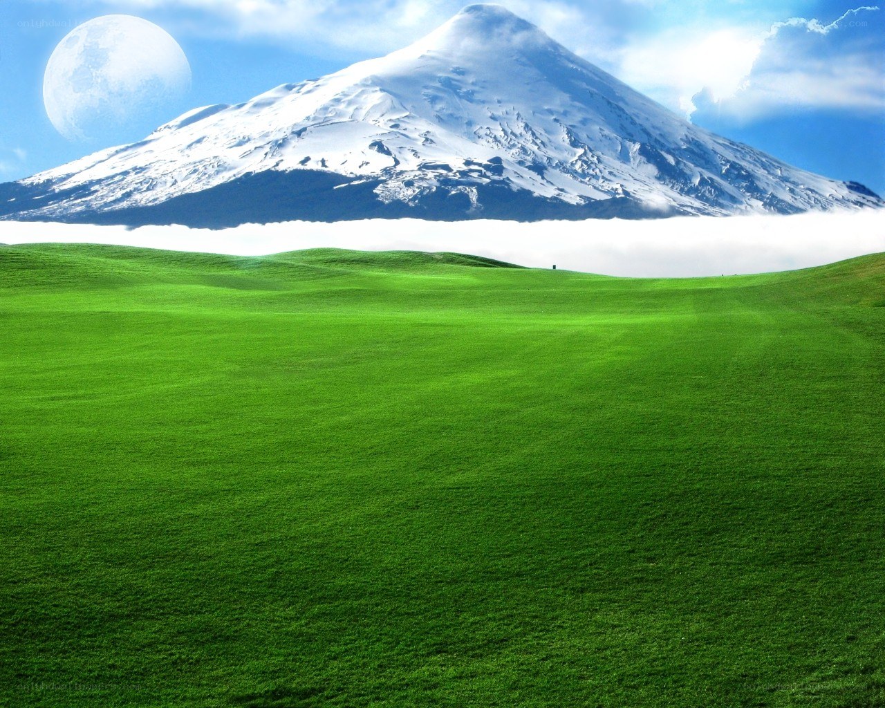 Green field with snowy mountain