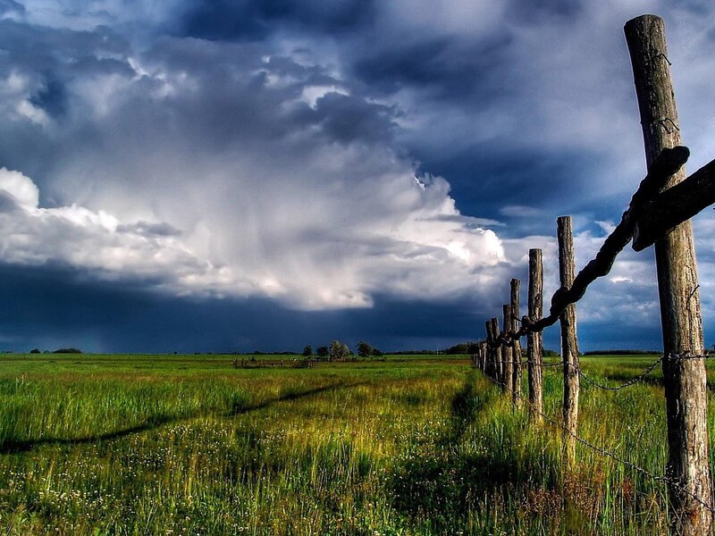 Green Field with Storm — Dramatic