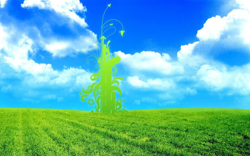 green field with stylized plant