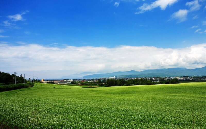 Green Field with Town