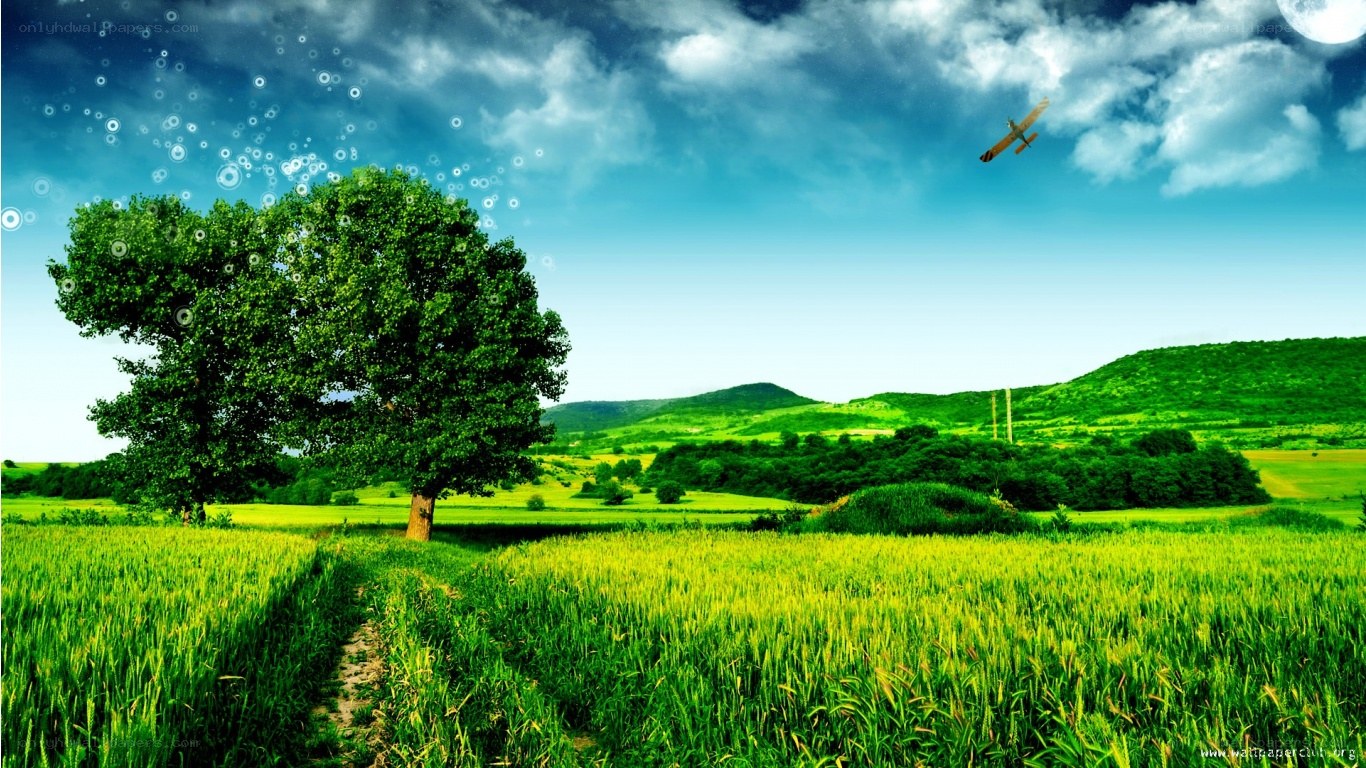 Green field with tree and airplane