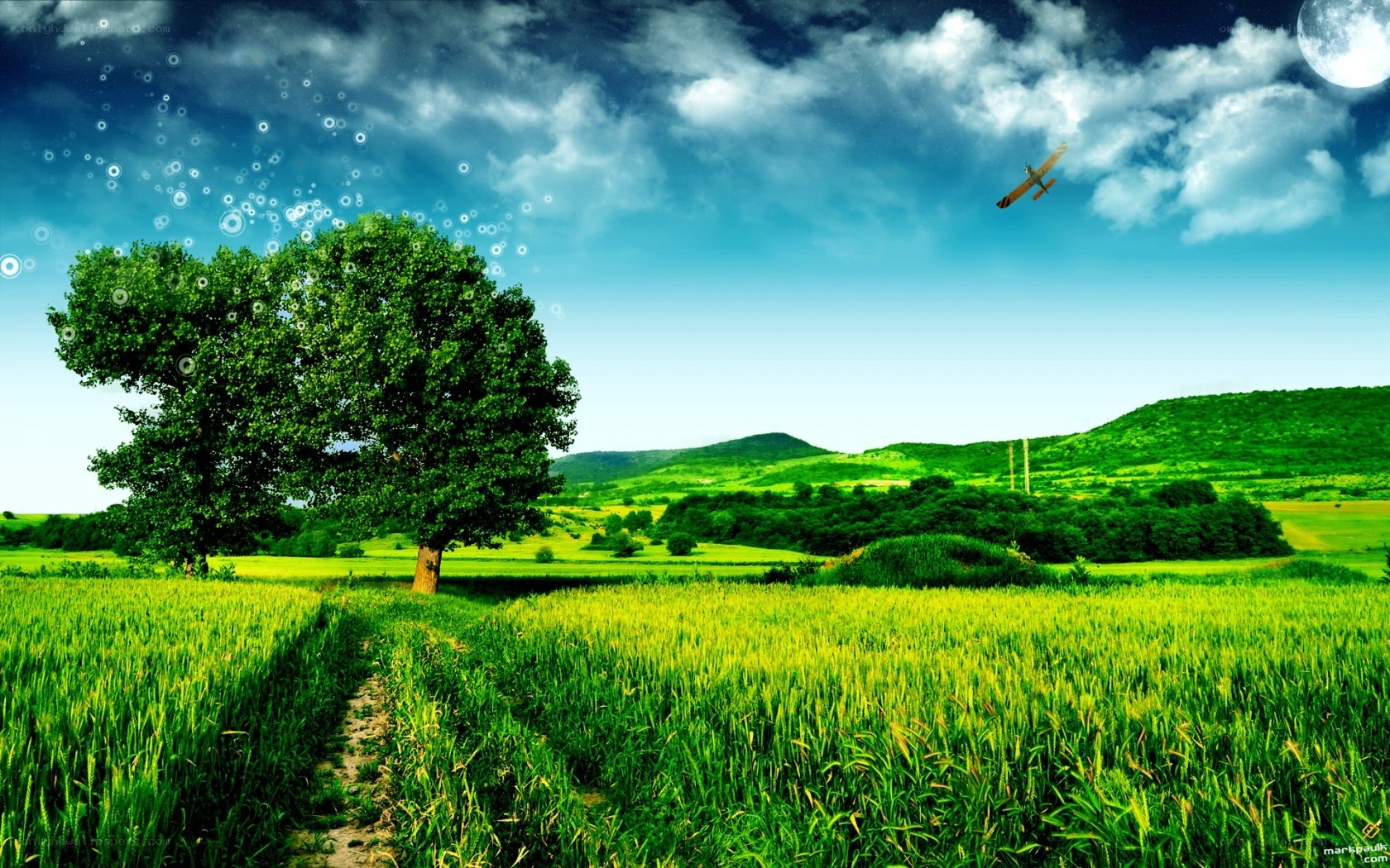 Green field with tree and moon
