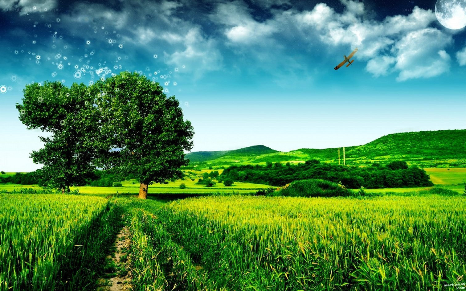 Green field with tree and moon