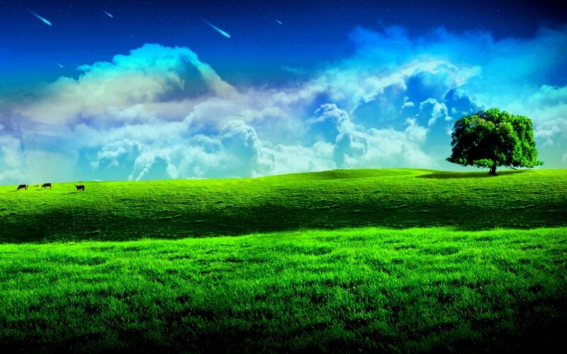 Green field with tree and shooting stars