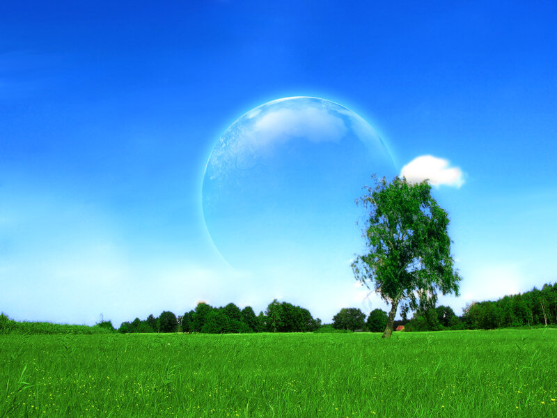Green Field with Tree — Blue