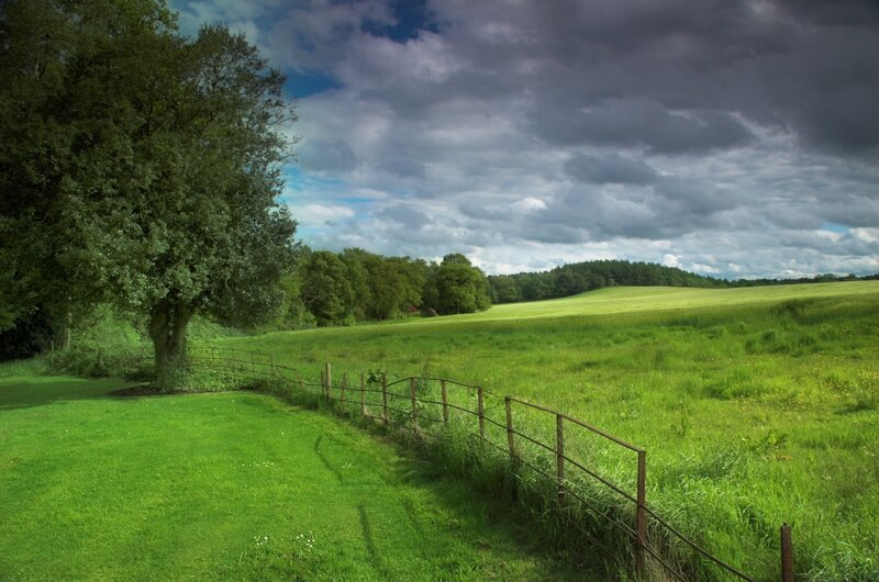 Green Field with Tree — Dramatic
