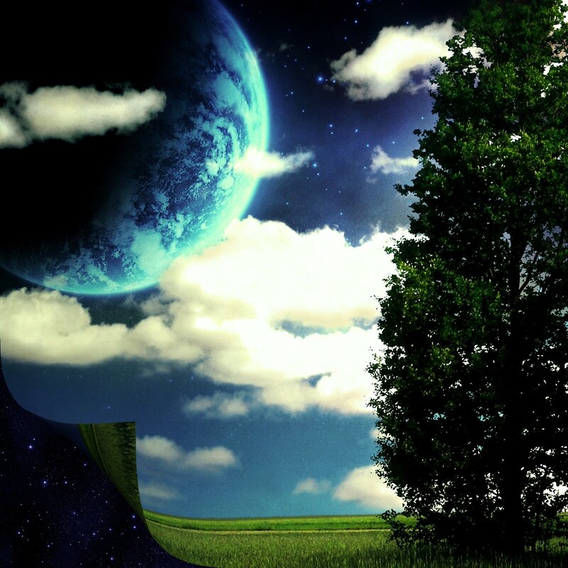 Green Field with Tree — Dreamy