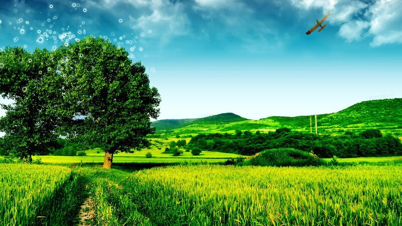 Green Field with Tree — Serene, Afternoon, Photograph, Airplane, Hills