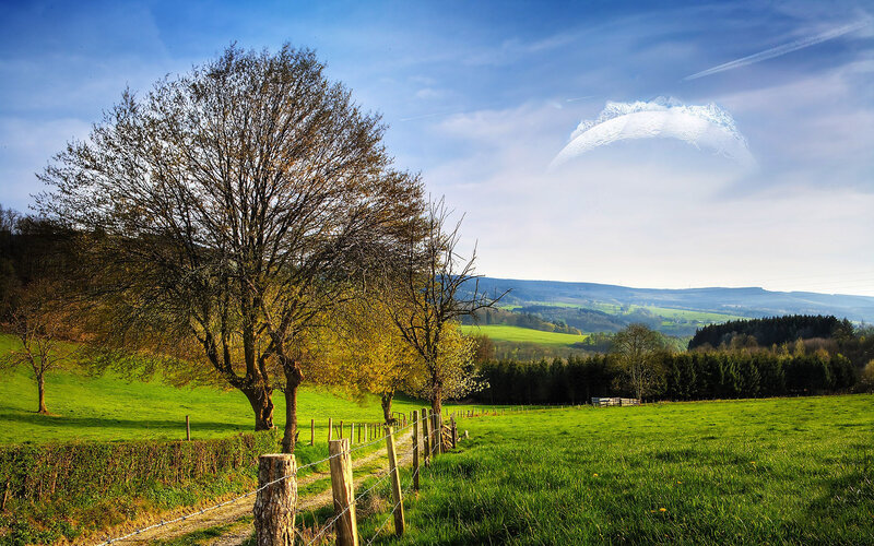 Green Field with Tree — Serene, Afternoon