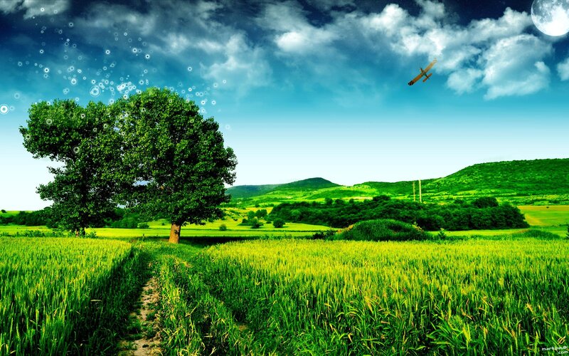 Green Field with Tree — Serene, Night, Digital Art, Airplane, Moon