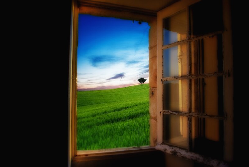 Green Field with Tree — Serene, Sunset, Photograph