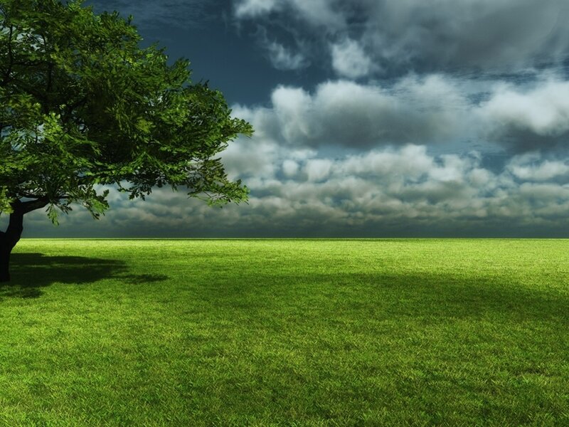 Green field with tree under cloudy sky