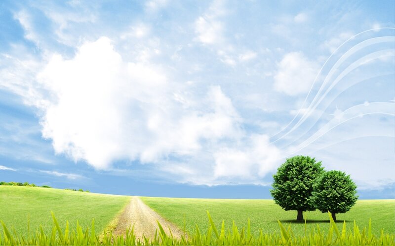 Green field with trees