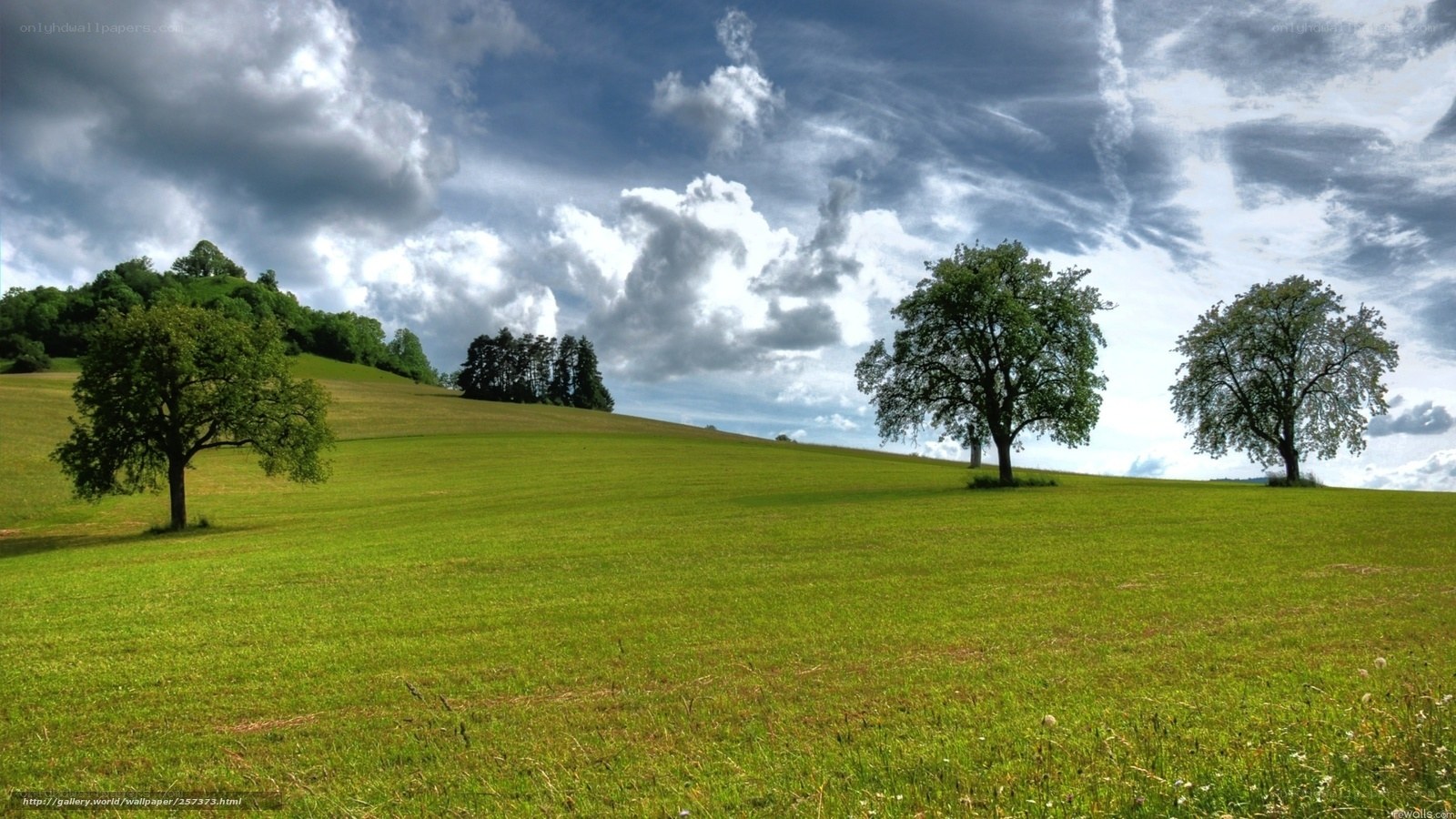 Green field with trees and clouds