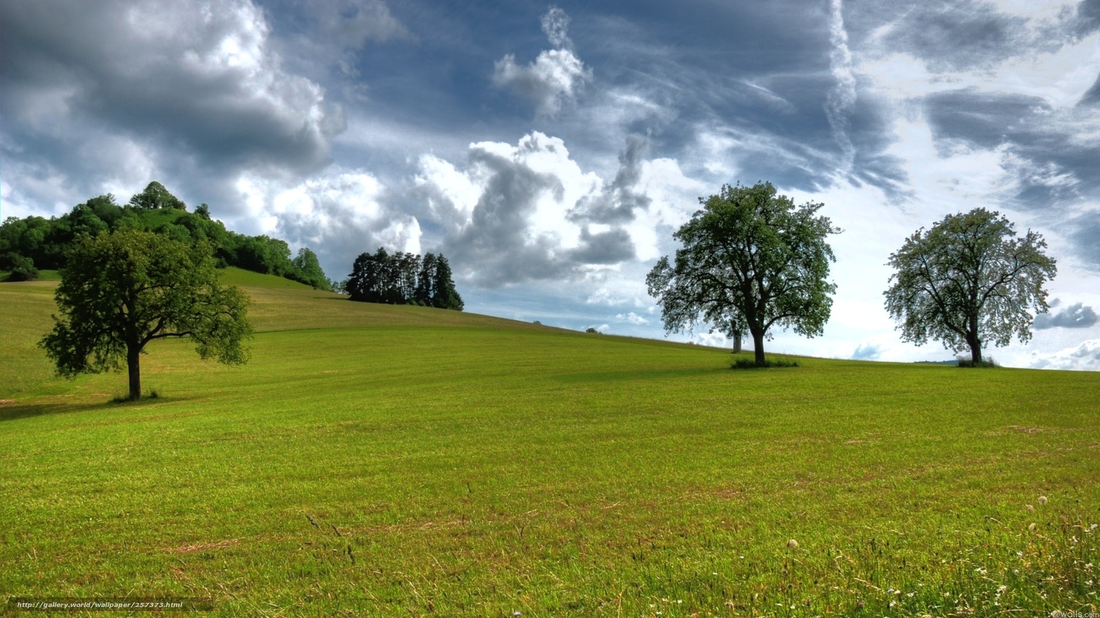 Green field with trees and clouds