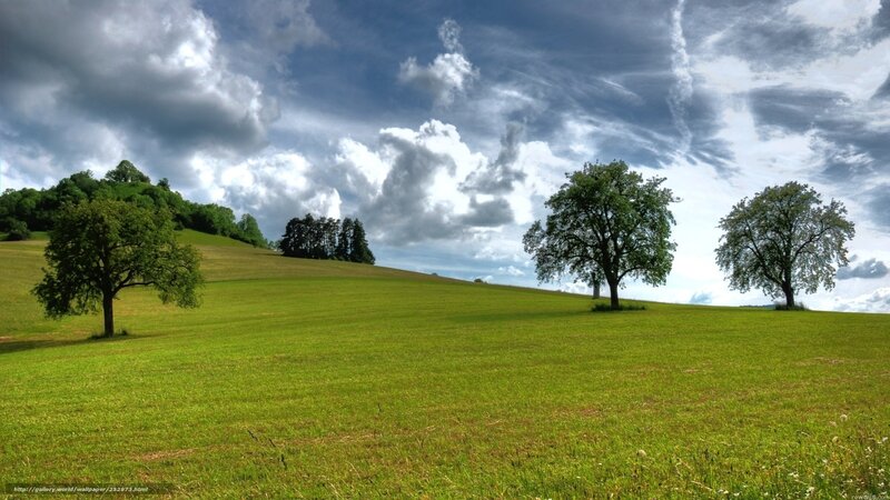 Green field with trees and clouds