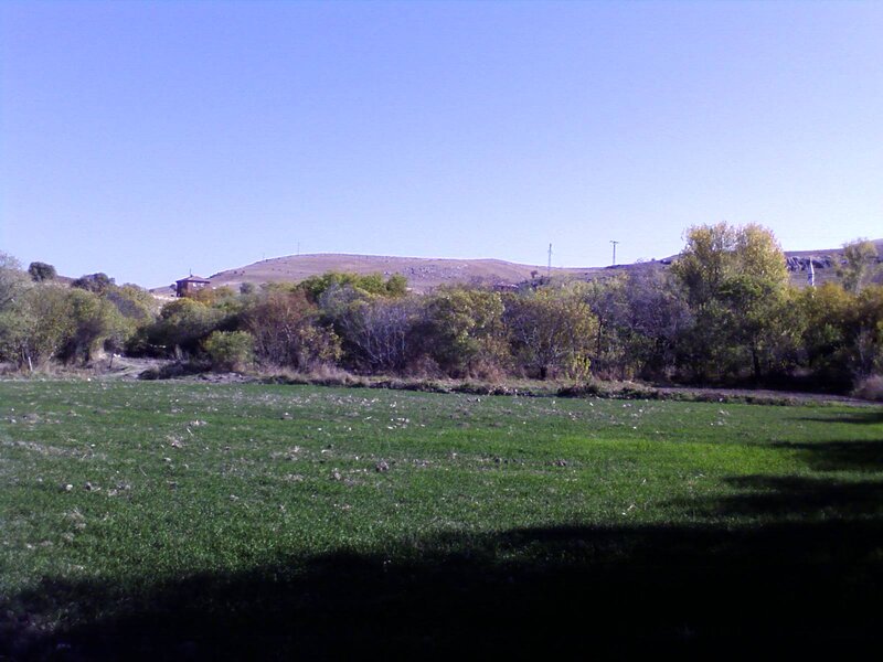 Green field with trees and hills