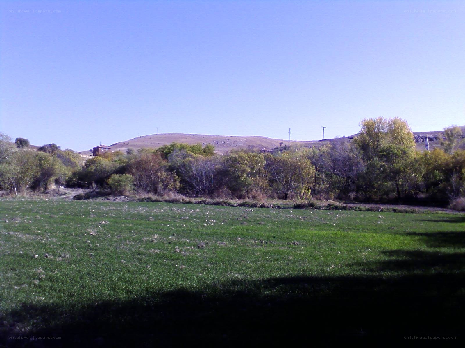 Green field with trees and hills