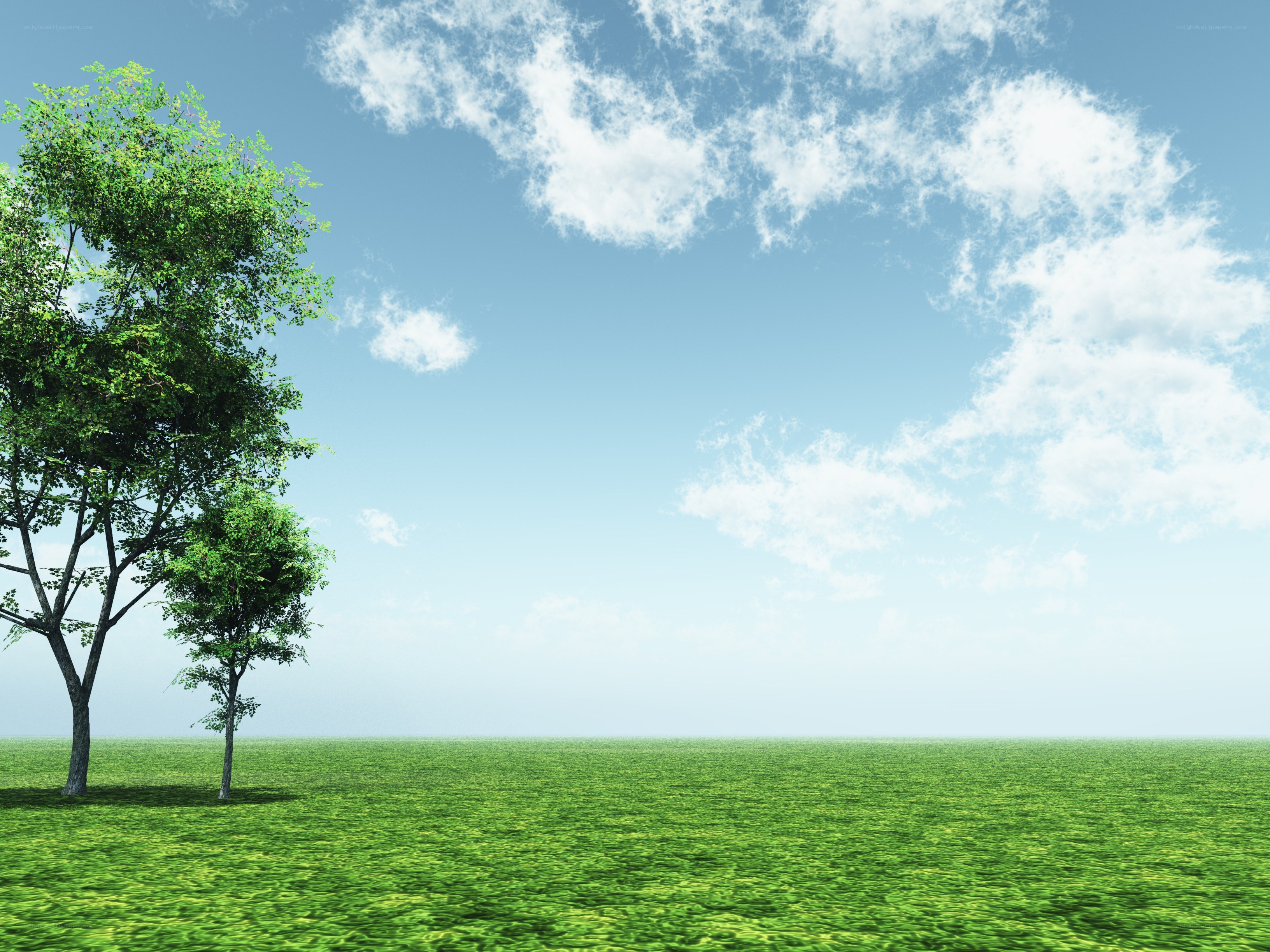 Green field with trees and sky