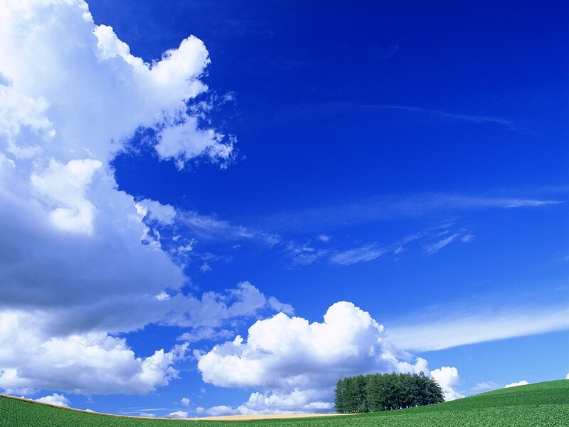 Green Field with Trees — Blue, Clouds