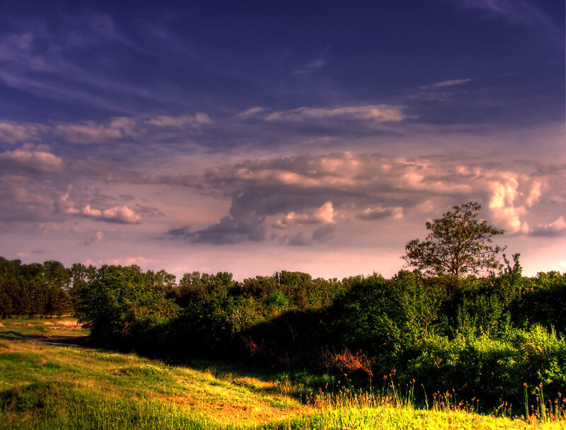Green Field with Trees — Blue, Dramatic
