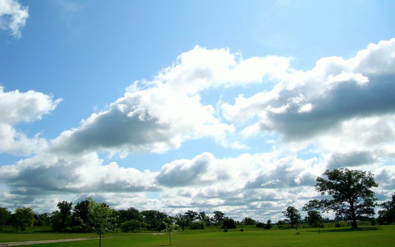 Green Field with Trees — Blue, Serene, Afternoon, Photograph, Clouds, Sky, White, Cmm