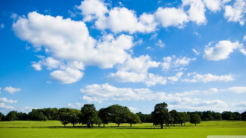 Green Field with Trees — Blue, Serene, Afternoon, Photograph, Clouds