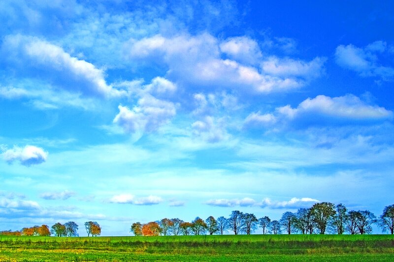 Green Field with Trees — Blue, Serene