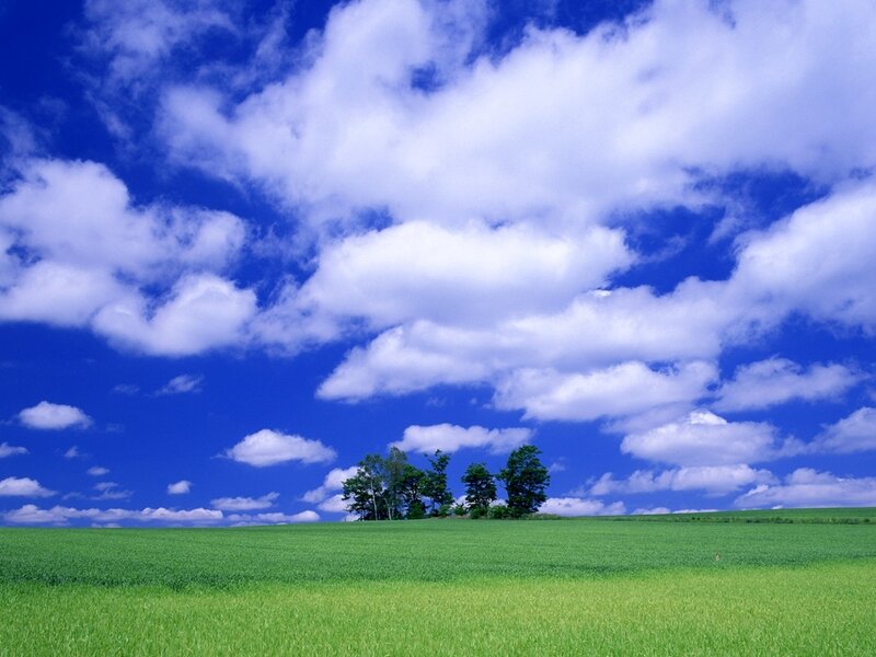 Green Field with Trees — Blue