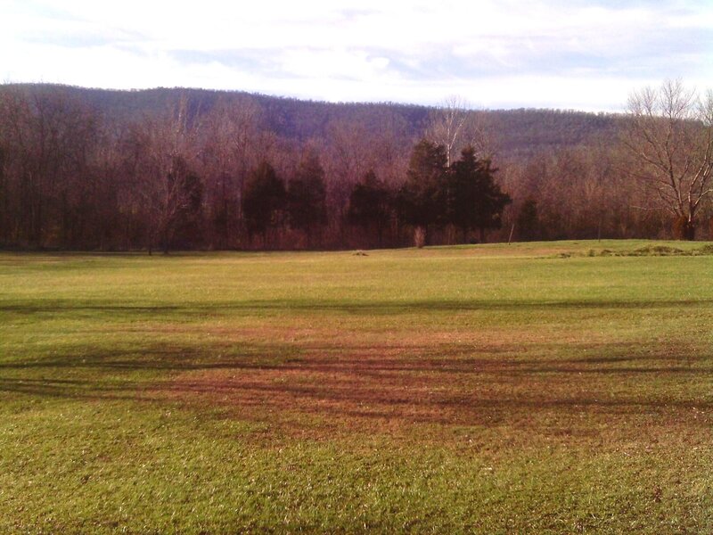 Green Field with Trees — Calm, Autumn