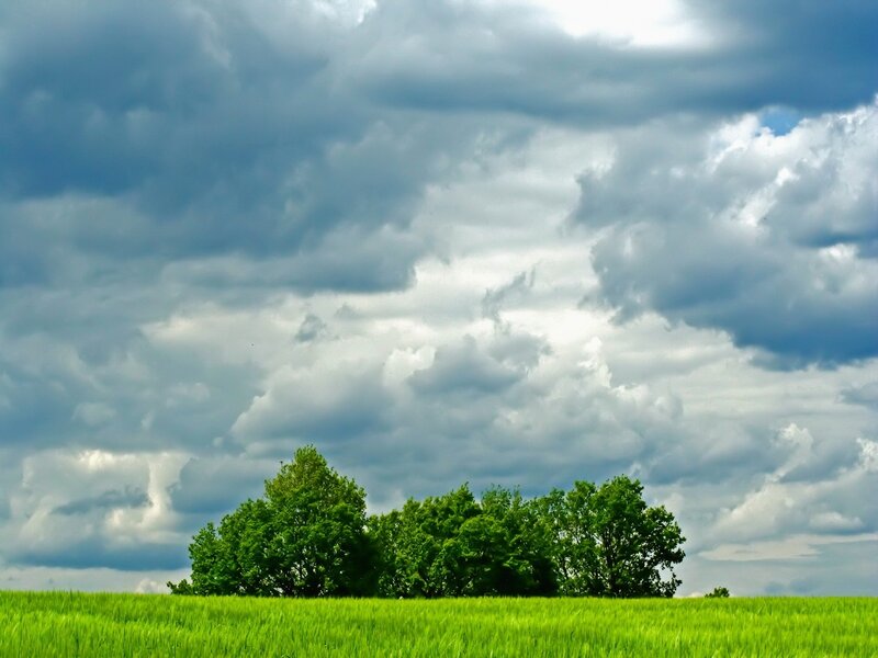 Green Field with Trees — Clouds
