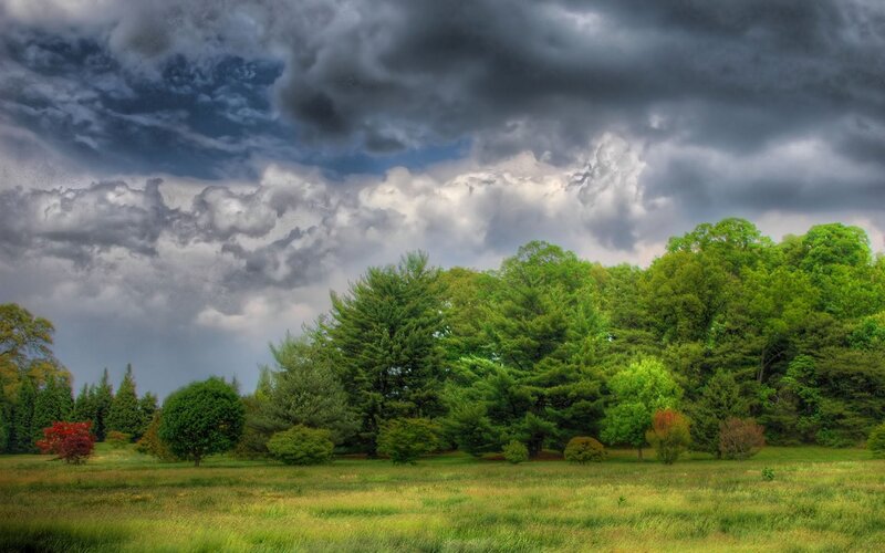 Green Field with Trees — Dramatic, Afternoon, Photograph, Clouds, Gray, Blue