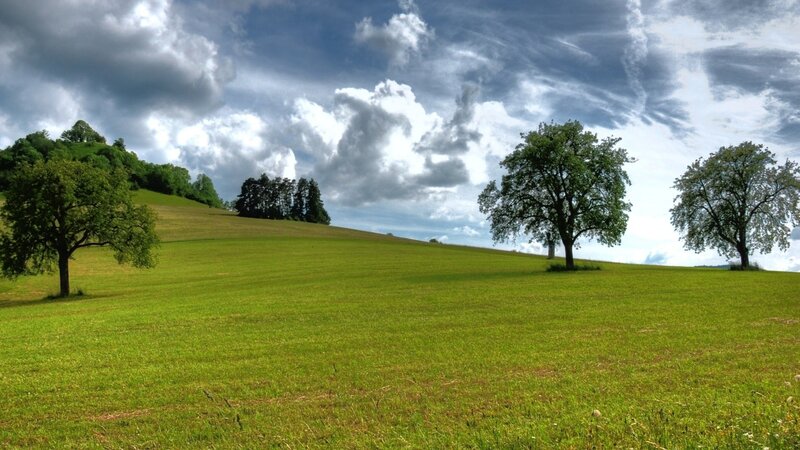 Green Field with Trees — Dramatic, Afternoon, Photograph, Hills, Clouds, Blue