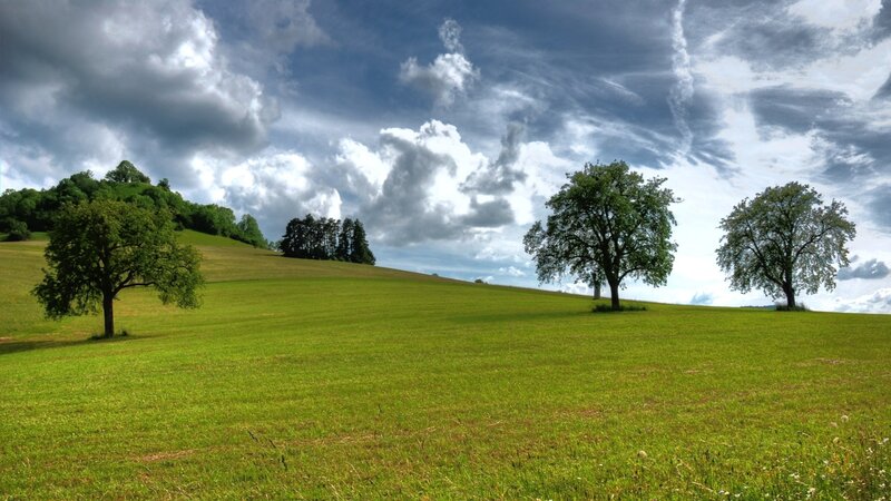 Green Field with Trees — Dramatic, Afternoon, Photograph, Hills, Clouds