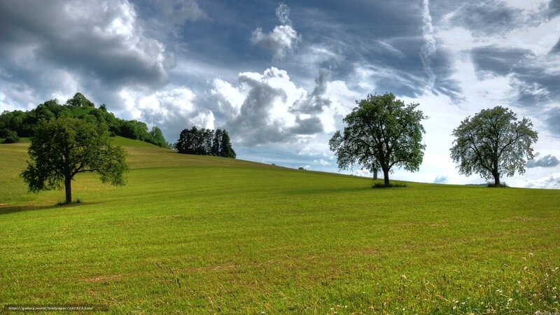 Green Field with Trees — Dramatic, Afternoon, Photograph, Hills