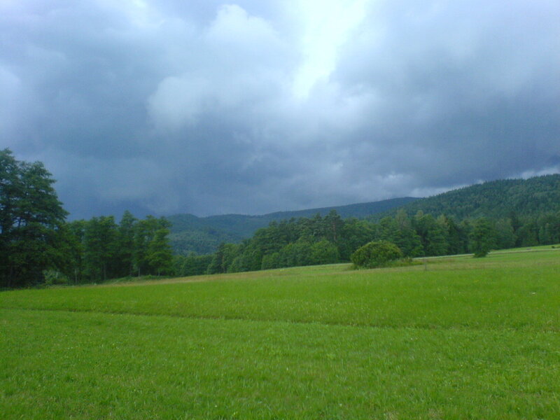 Green Field with Trees — Dramatic, Afternoon, Photograph, Mountains, Clouds