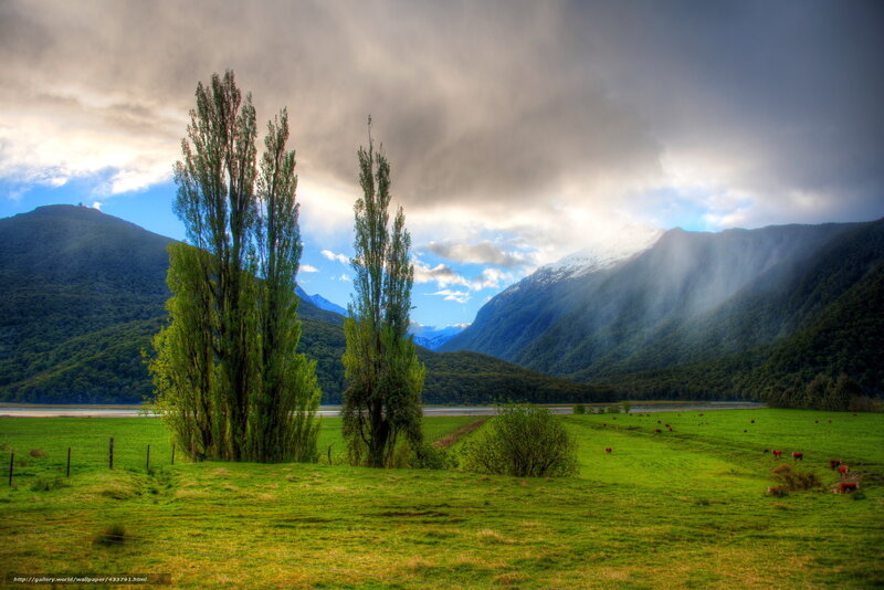 Green Field with Trees — Dramatic, Afternoon, Photograph, Mountains, River