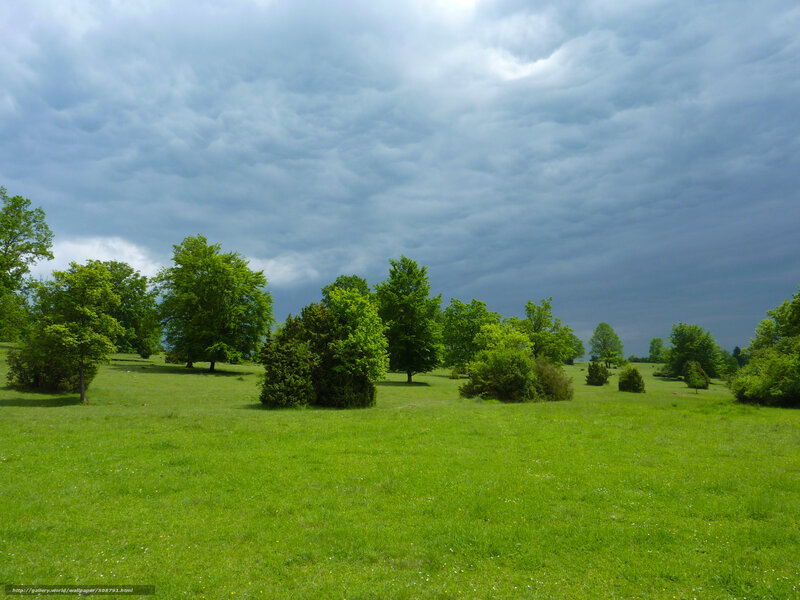 Green Field with Trees — Dramatic, Afternoon, Photograph, Sky