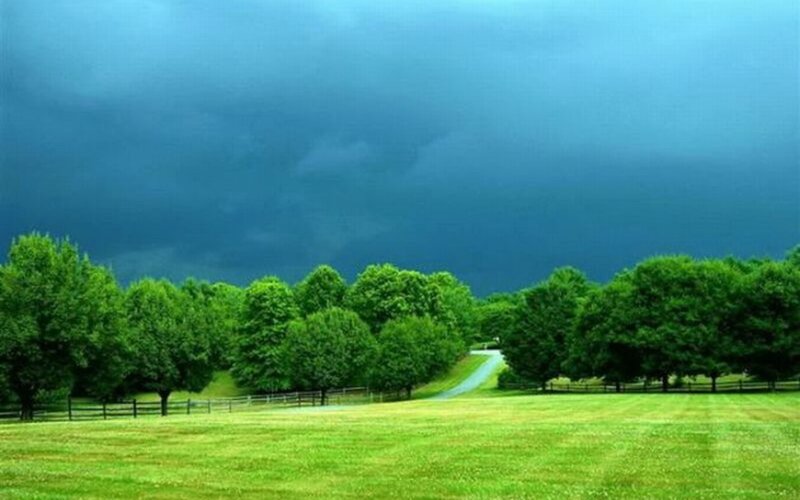 Green Field with Trees — Dramatic, Photograph, Road