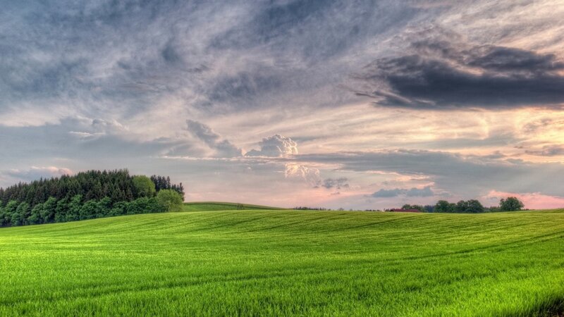 Green Field with Trees — Dramatic, Sunset, Photograph, Clouds