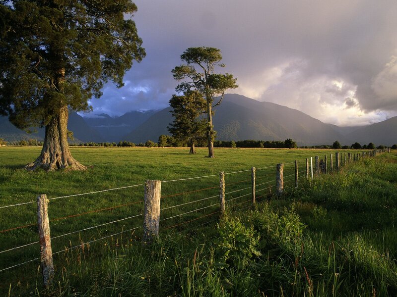 Green Field with Trees — Dramatic, Sunset, Photograph, Fence, Mountains