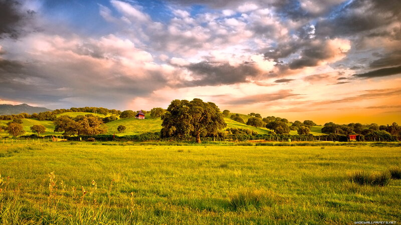 Green Field with Trees — Dramatic, Sunset, Photograph, Hills, Clouds
