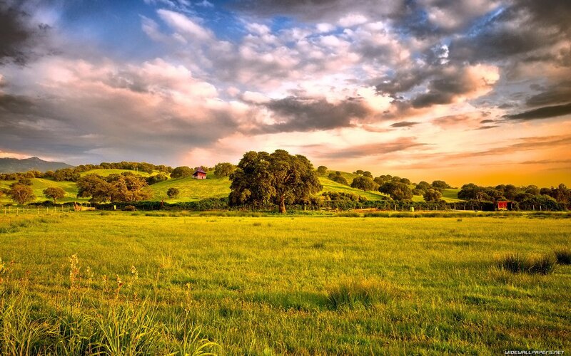 Green Field with Trees — Dramatic, Sunset, Photograph, Hills, Sky