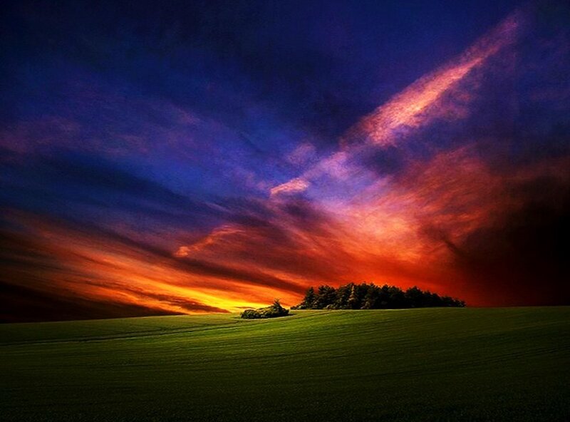 Green Field with Trees — Dramatic, Sunset, Photograph, Sky