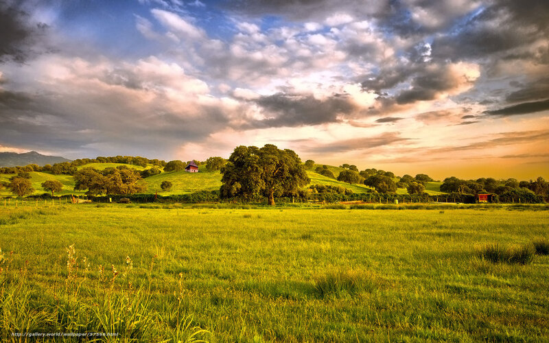 Green Field with Trees — Dramatic, Sunset, Photograph